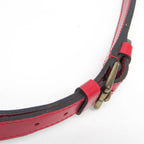 Louis Vuitton Epi Petit Noe