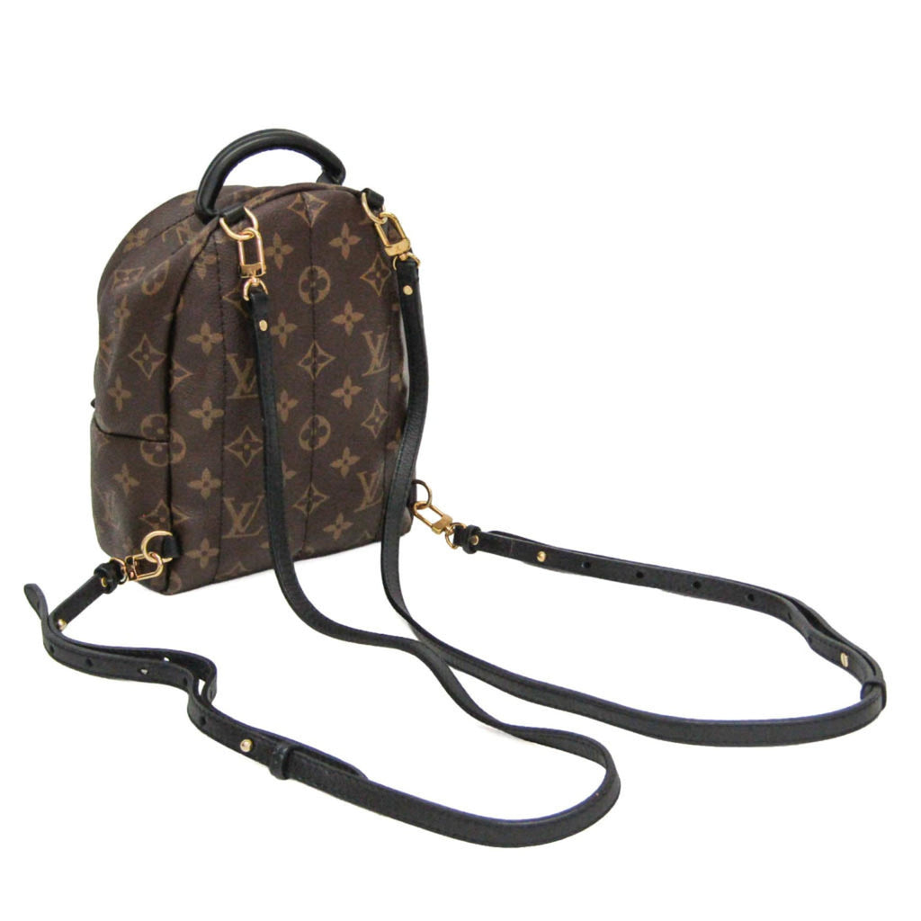 Louis Vuitton Monogram Palm Springs Mini