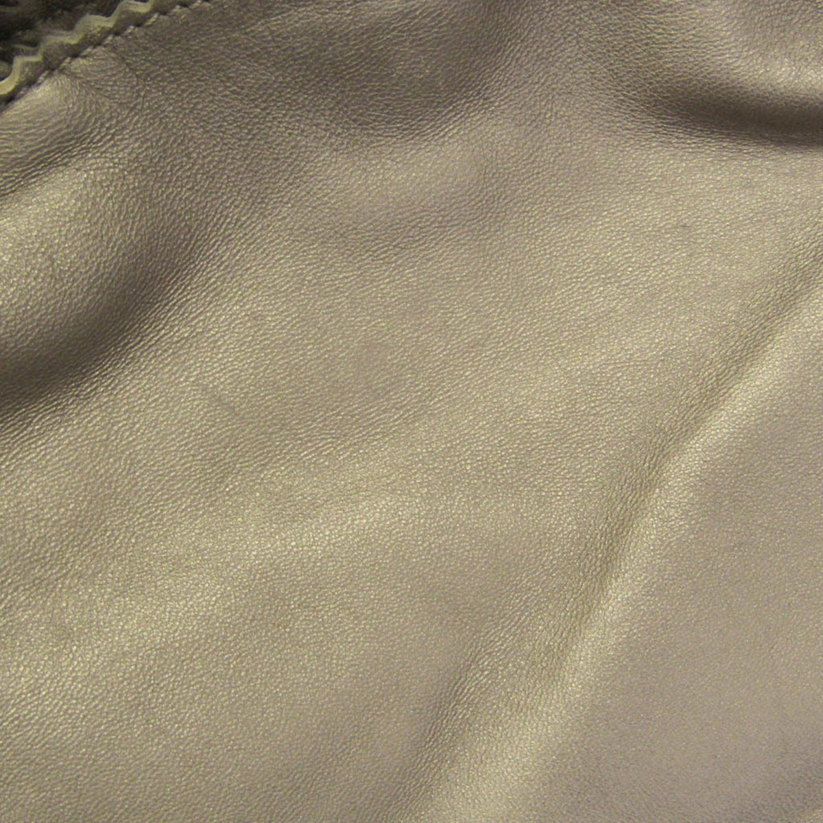Loewe Nappa Aire · Metallic Gold