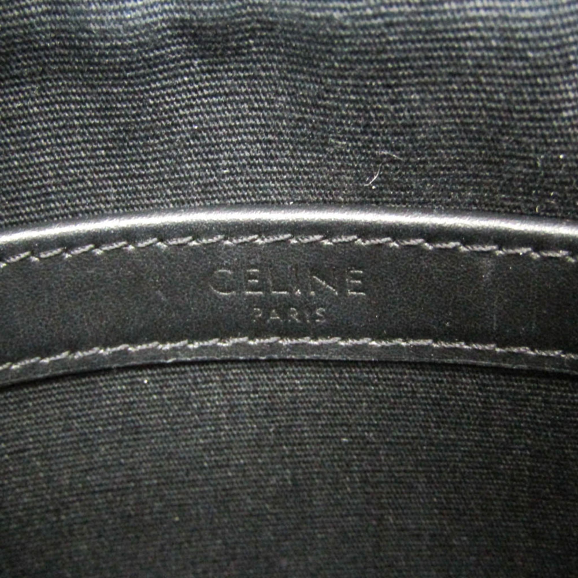 Celine Triomphe Horizontal · Coated Canvas