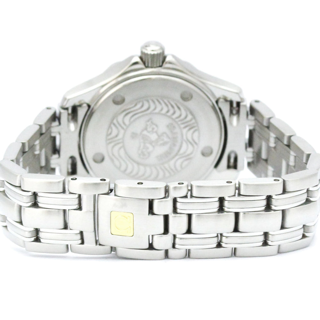 Omega Seamaster Professional 300M · Steel