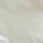Bvlgari Logomania · Canvas Tote