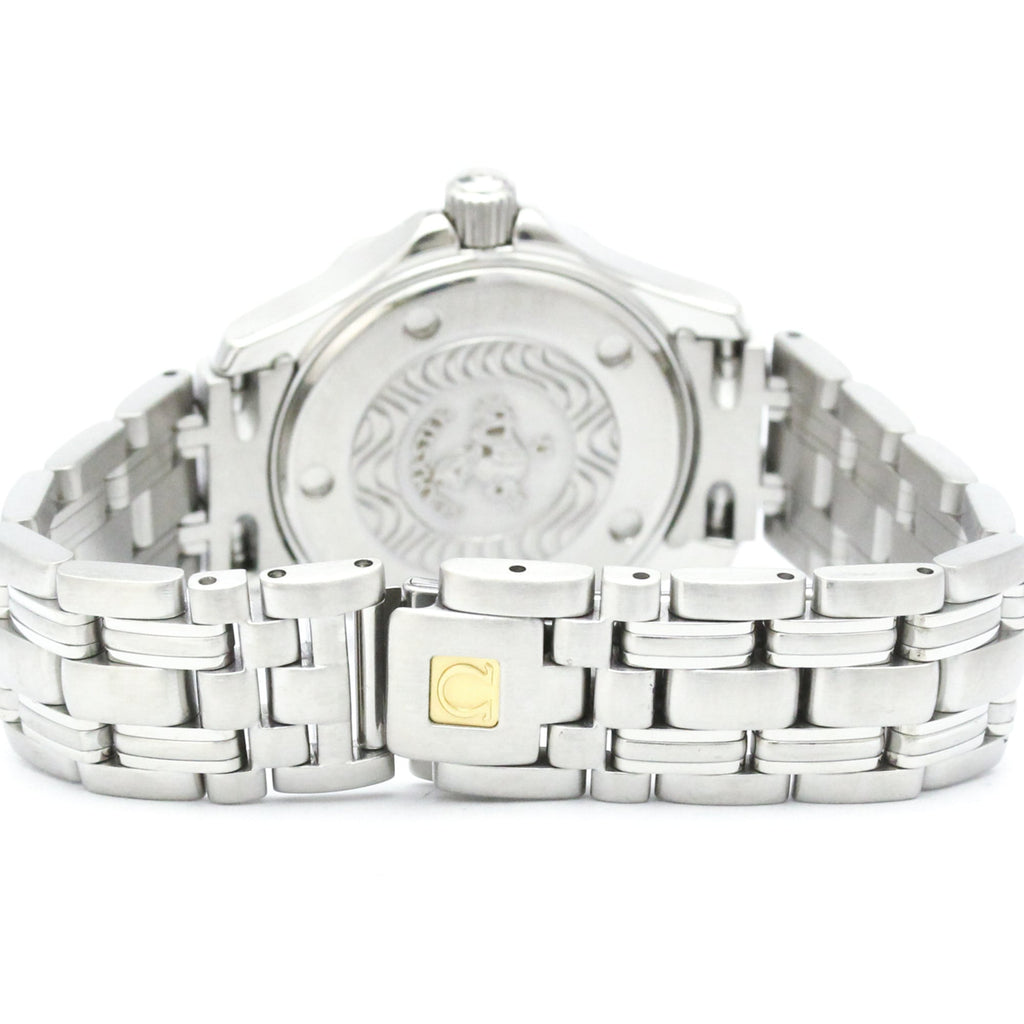 Omega Seamaster Professional 300M · Steel