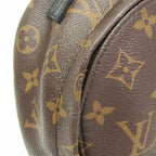 Louis Vuitton Monogram Palm Springs Mini