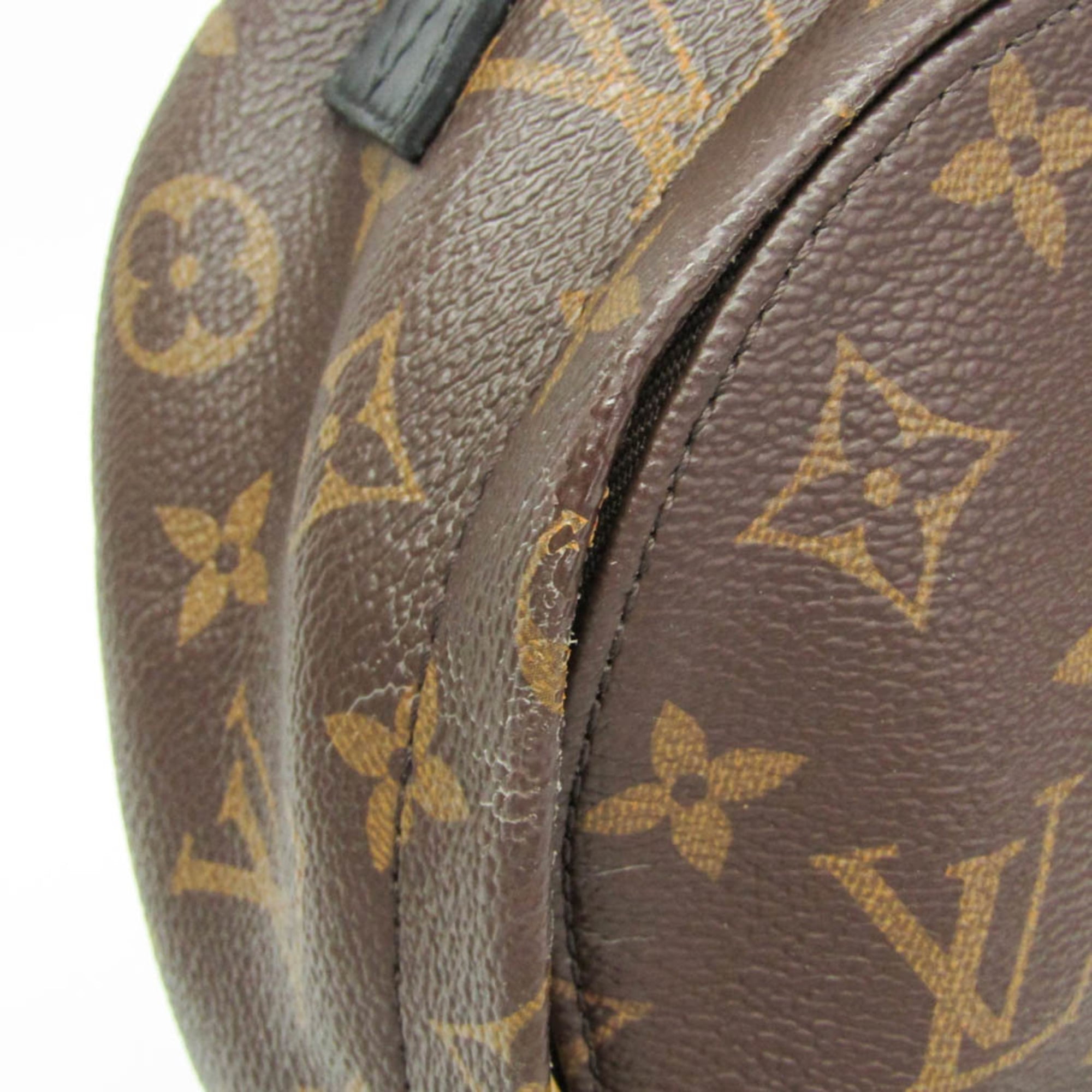 Louis Vuitton Monogram Palm Springs Mini
