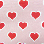Miu Miu Heart · Nylon Pouch
