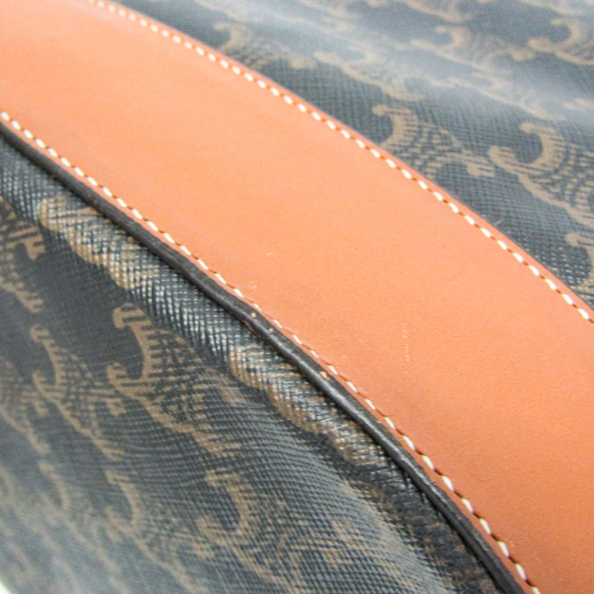 Celine Triomphe Medium Sailor · Canvas