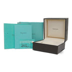 Tiffany Atlas · Steel · Leather Strap