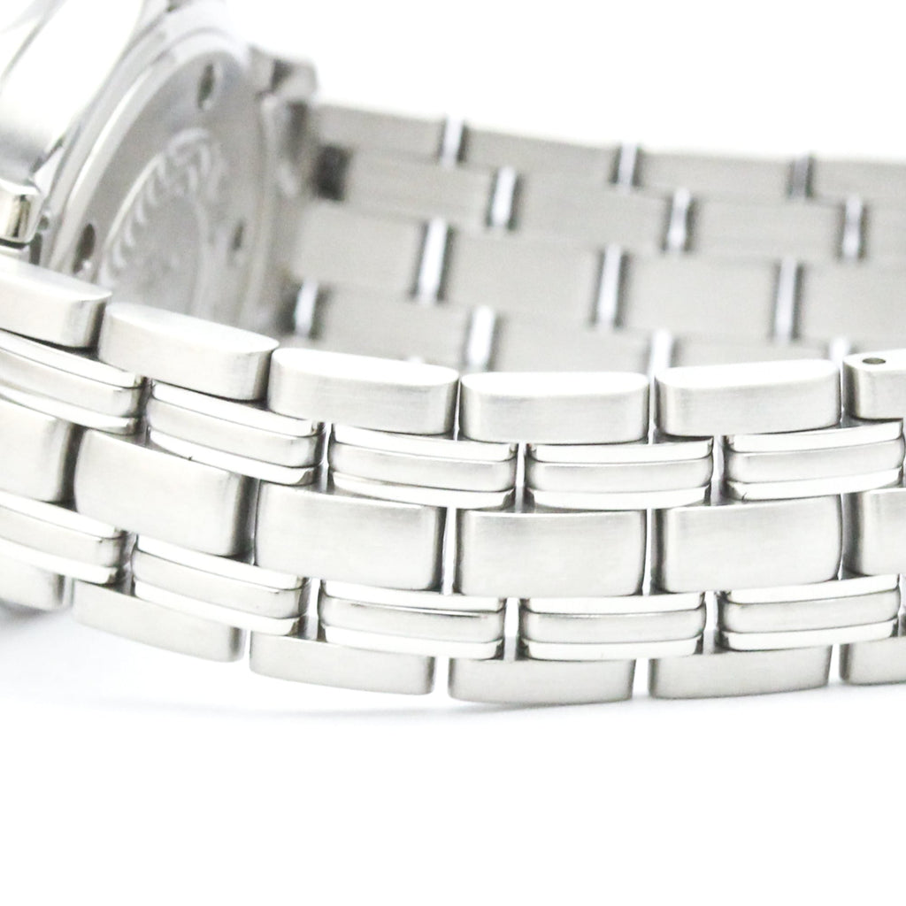 Omega Seamaster Professional 300M · Steel