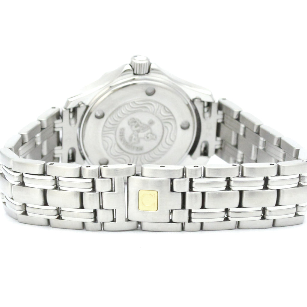 Omega Seamaster Professional 300M · Steel