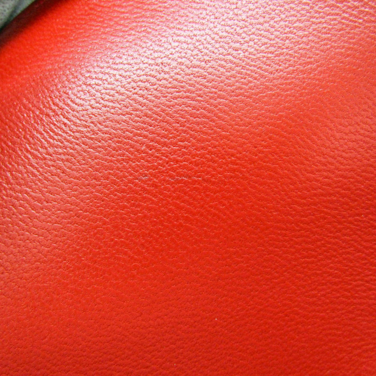 Bottega Veneta The Clip · Leather Shoulder