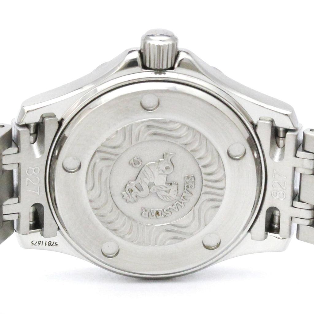 Omega Seamaster Professional 300M · Steel