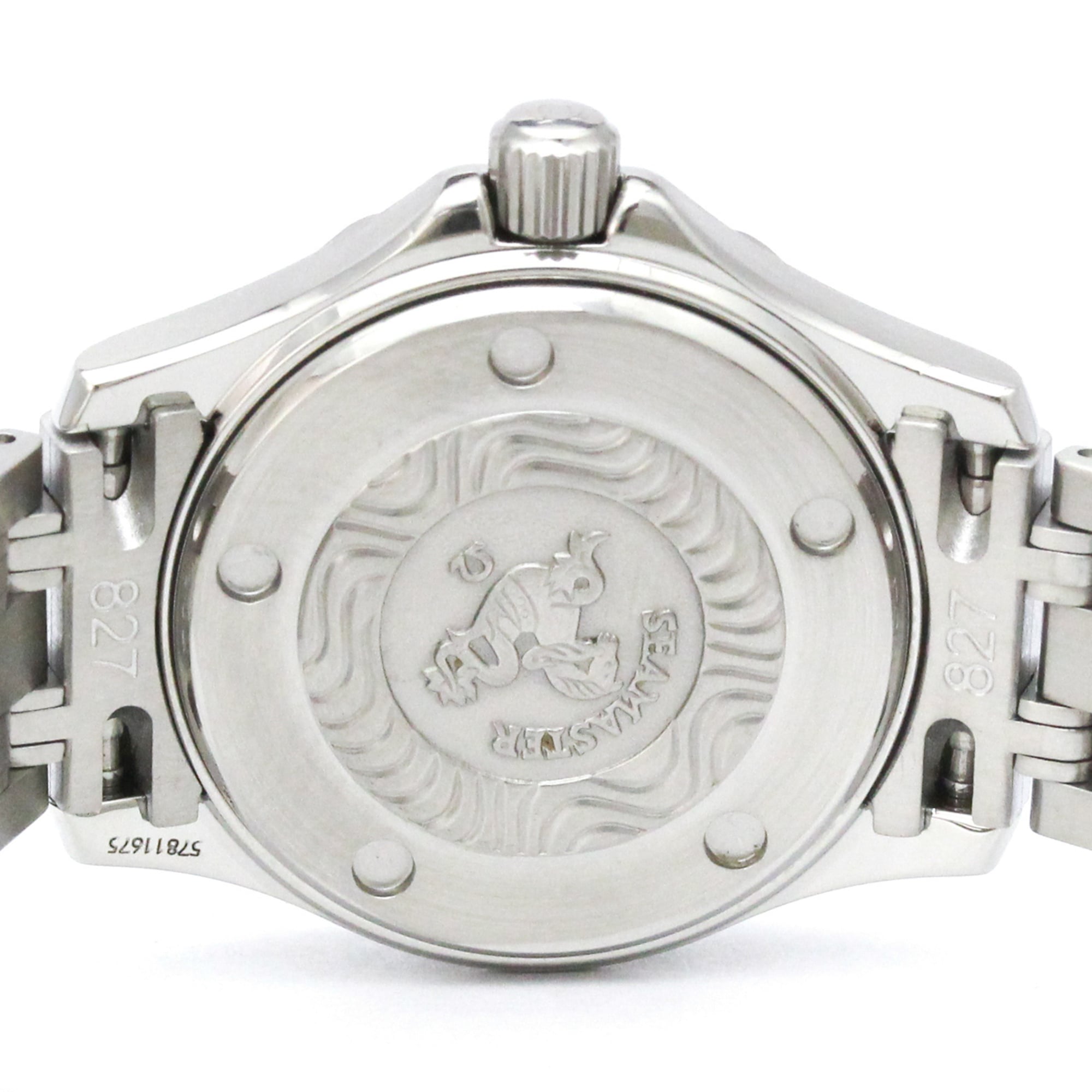 Omega Seamaster Professional 300M · Steel