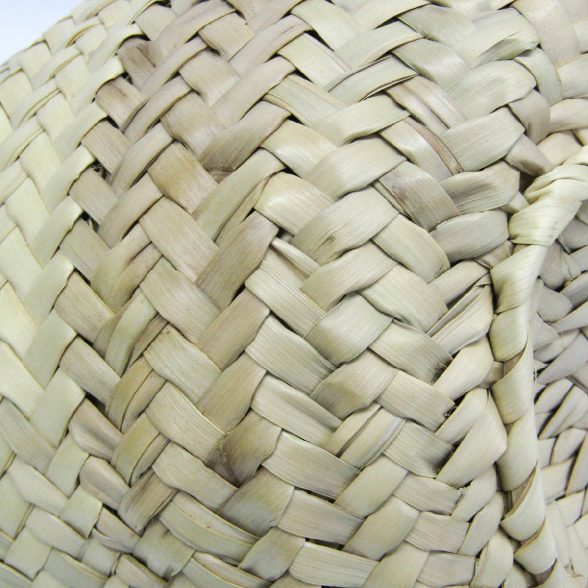 Chloé Marcie Basket · Raffia & Leather