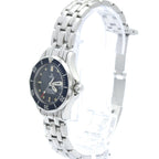Omega Seamaster Professional 300M · Steel