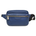 Louis Vuitton Taiga Bumbag Outdoor