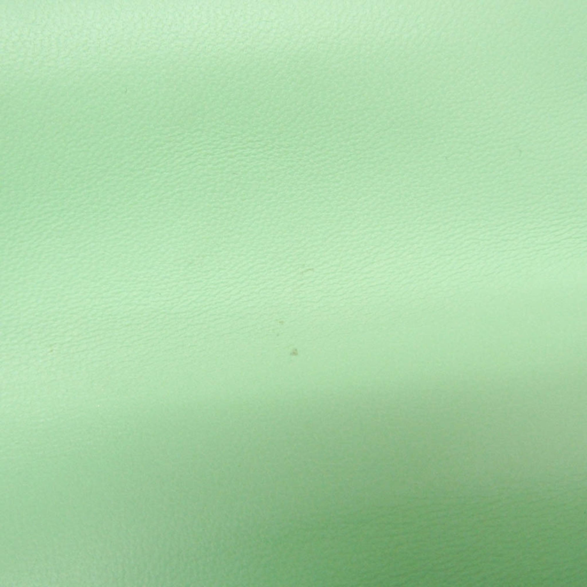Bottega Veneta Mount · Chain Shoulder · Leather