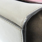 Celine Trapeze · Leather & Suede
