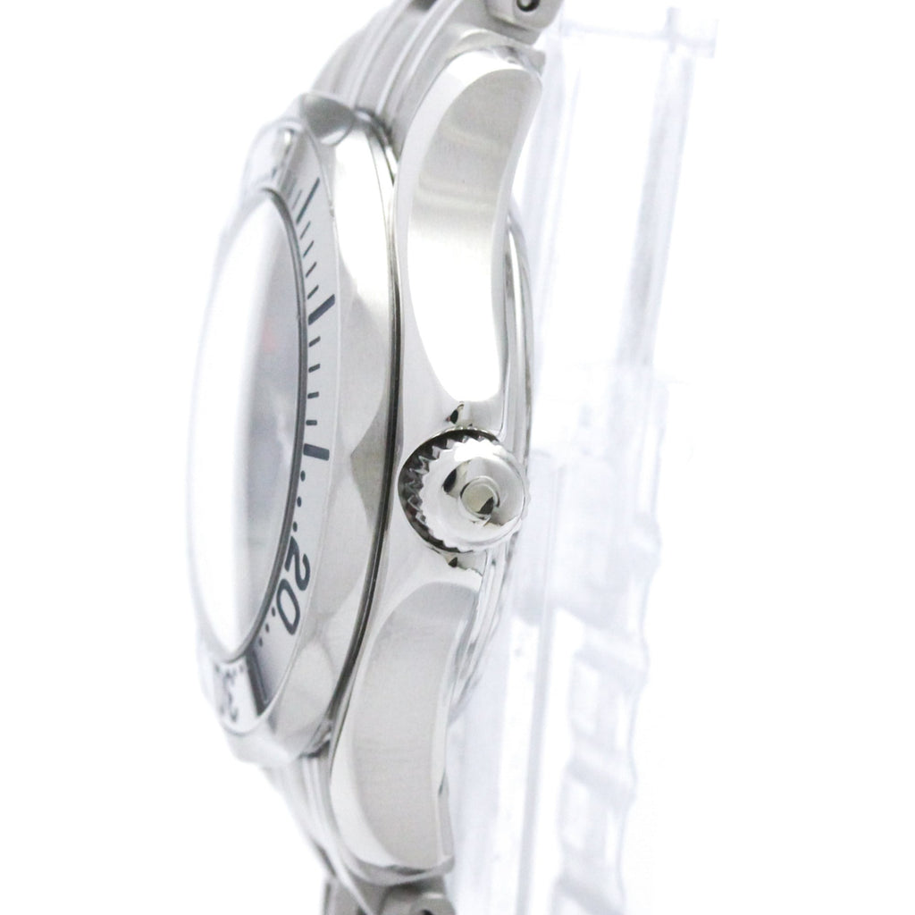 Omega Seamaster Professional 300M · Steel