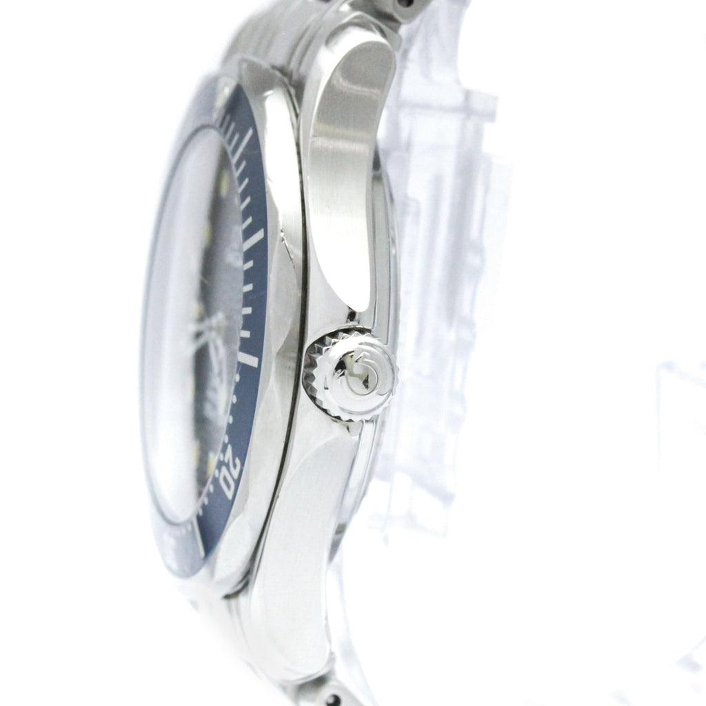 Omega Seamaster Professional 300M · Steel