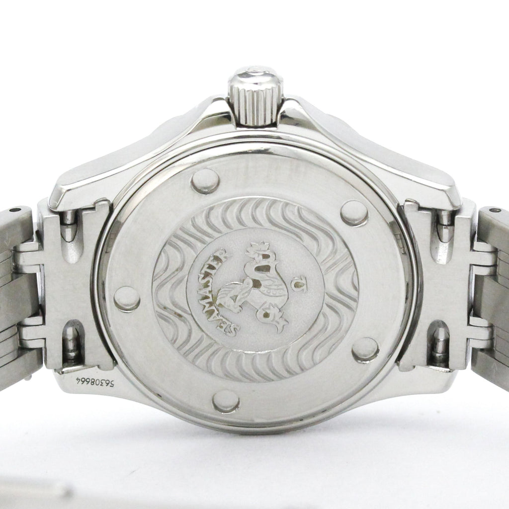 Omega Seamaster Professional 300M · Steel