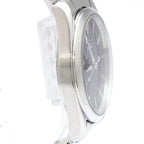 Omega Seamaster Aqua Terra · Steel · Co-Axial