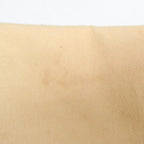 Louis Vuitton Damier Eva · Canvas Crossbody