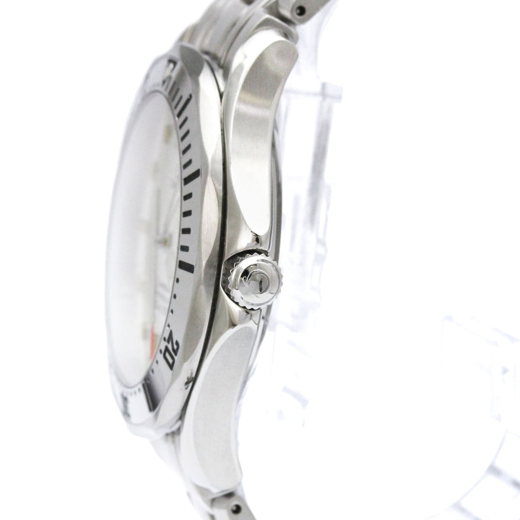 Omega Seamaster Professional 300M · Steel