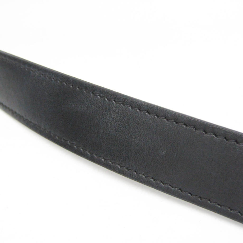Celine Triomphe Horizontal · Coated Canvas