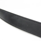 Celine Triomphe Horizontal · Coated Canvas