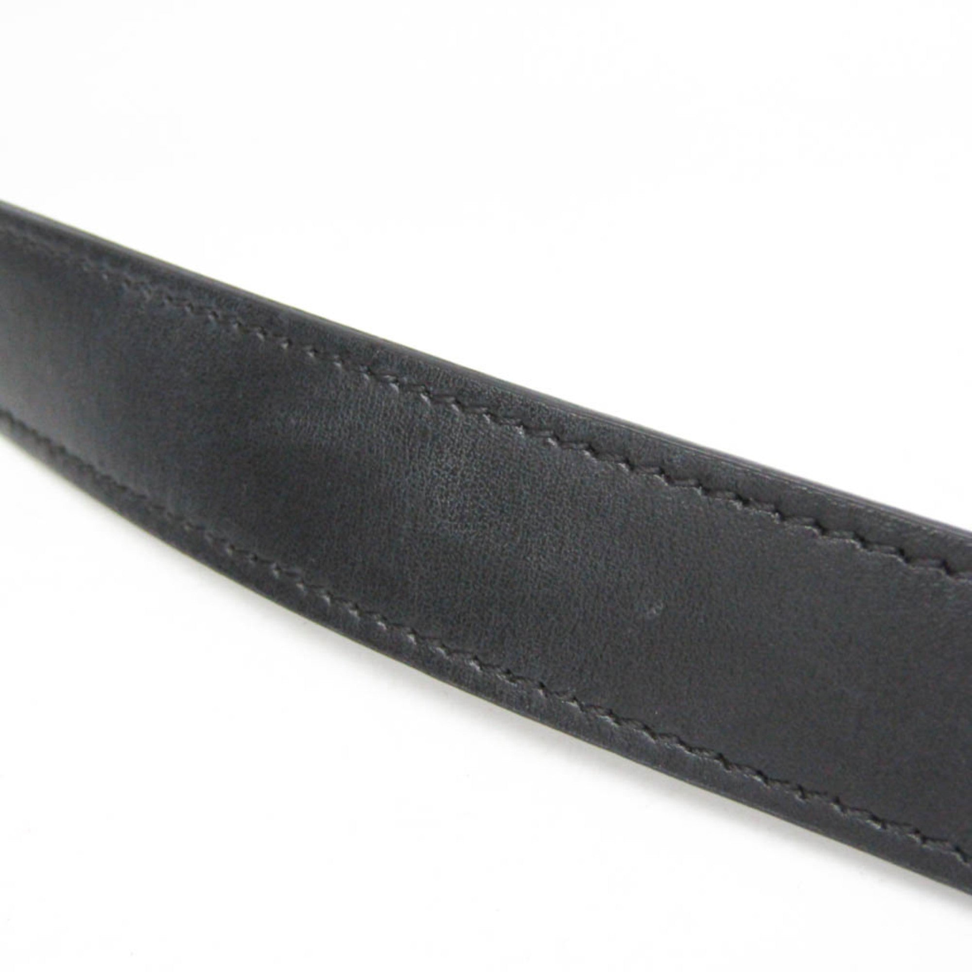 Celine Triomphe Horizontal · Coated Canvas