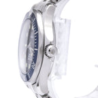 Omega Seamaster Professional 300M · Steel