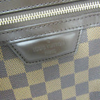 Louis Vuitton Evora MM · Damier Ebene