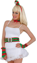 Elf Kit Christmas Costume Accessory Set