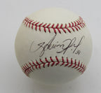 Avisail Garcia Signed/Autographed 2012 WS Baseball Detroit Tigers JSA 194354