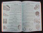 1961 Lowe & Campbell Spring & Summer Athletic Equipment Catalog NO. 200 193492