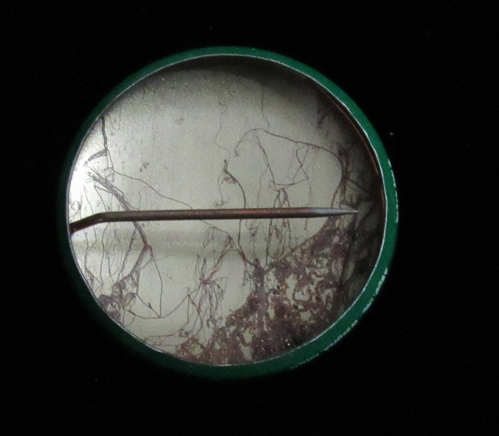Vintage 1969 Drenks Potato Chips Travis Williams Pin Green Bay Packers 193890