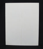 David Halberstam "October 1964" Book Mickey Mantle 12x15 Store Display 195617