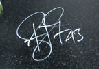 Troy Polamalu Signed/Autographed 16x20 Photo Pittsburgh Steelers Beckett 195318