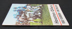 1965 Houston Oilers Yearbook 194674