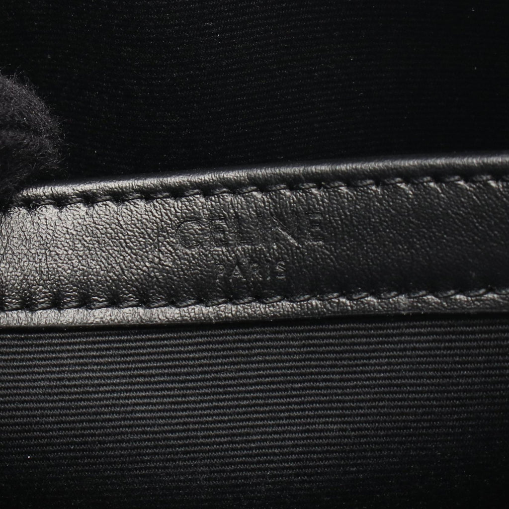 CELINE Triomphe Medium Messenger