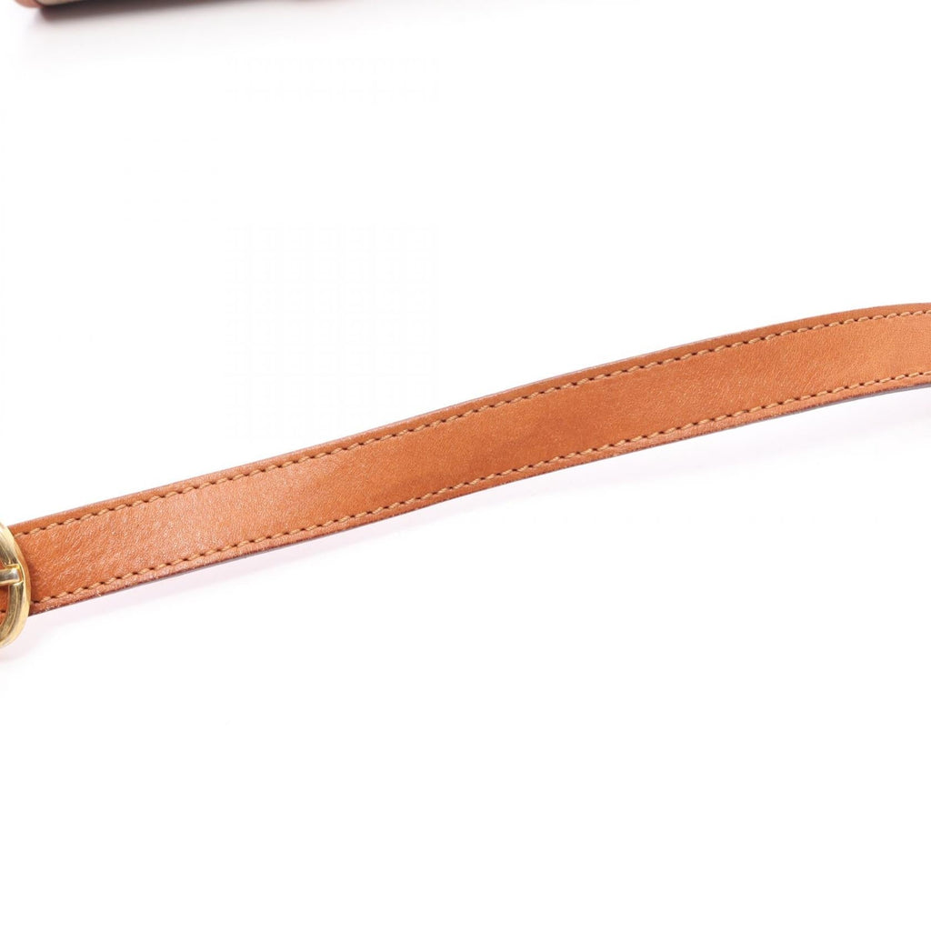 Celine Triomphe · Canvas Leather