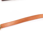 Celine Triomphe · Canvas Leather