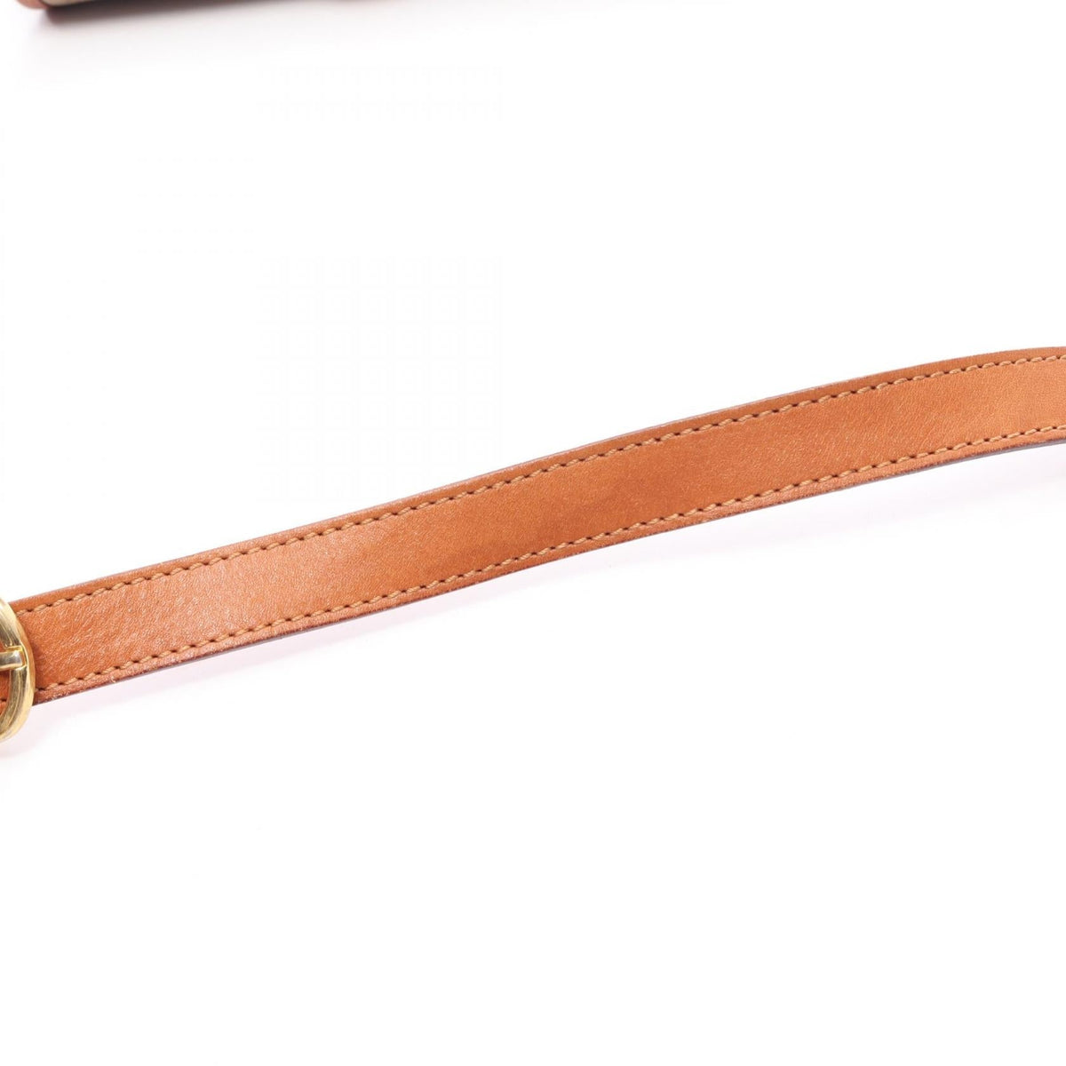 Celine Triomphe · Canvas Leather