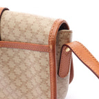 Celine Triomphe · Canvas Leather