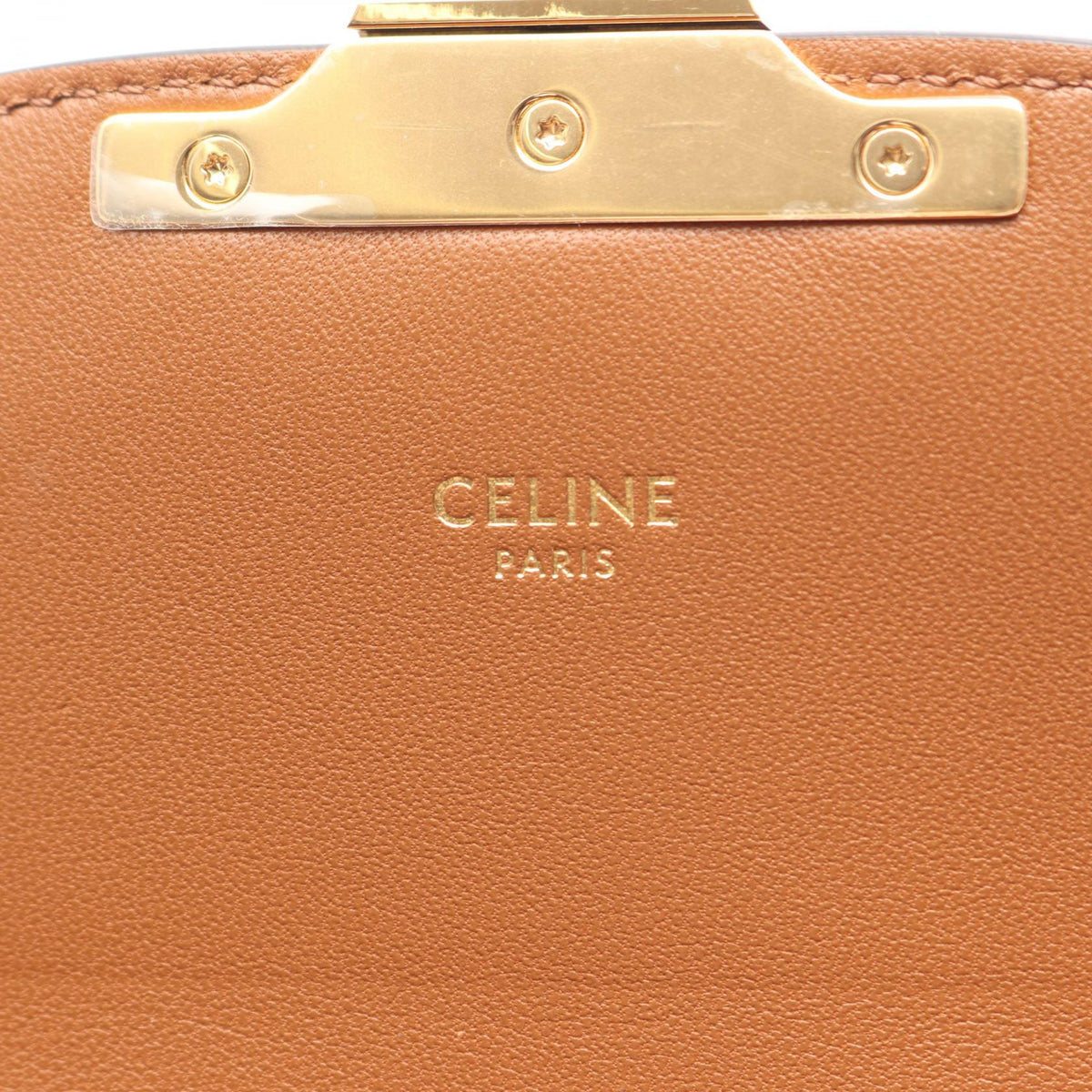 Celine Teen Triomphe · Tricolor Canvas