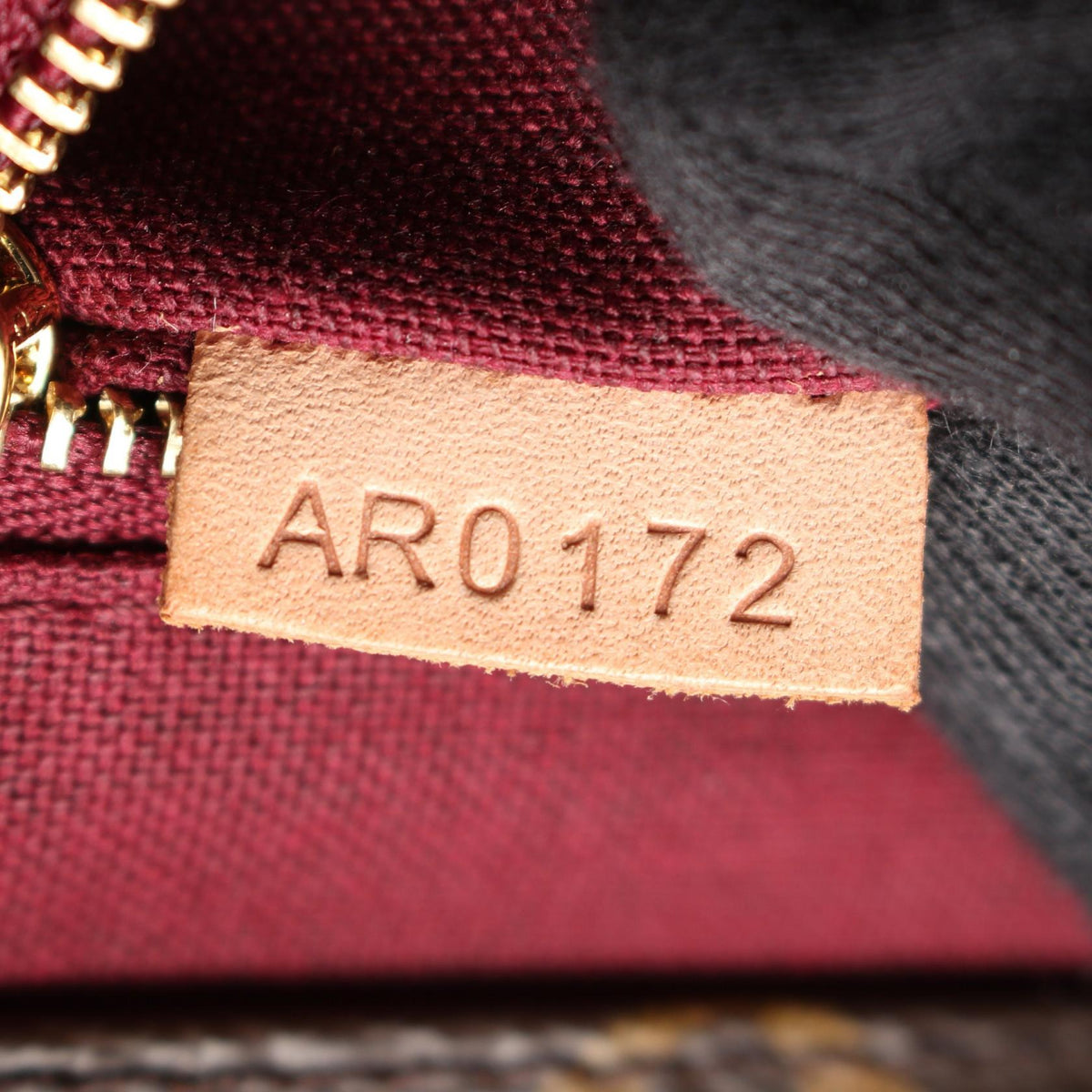 Louis Vuitton Raspail PM · Monogram