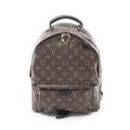 Louis Vuitton Palm Springs MM · Monogram