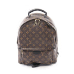 Louis Vuitton Palm Springs MM · Monogram