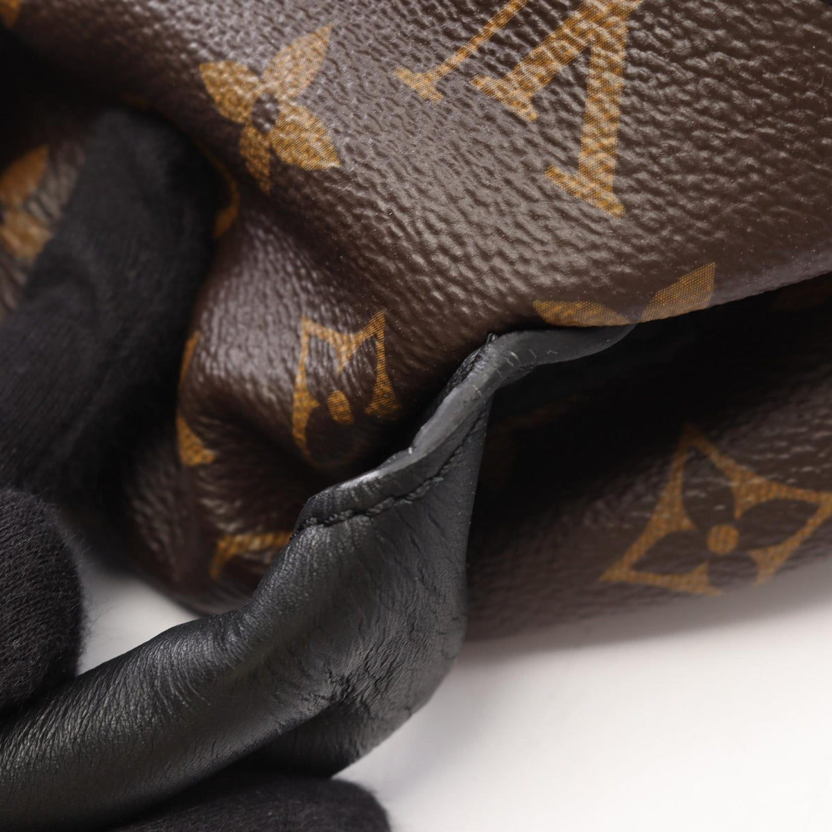 Louis Vuitton Palm Springs MM · Monogram